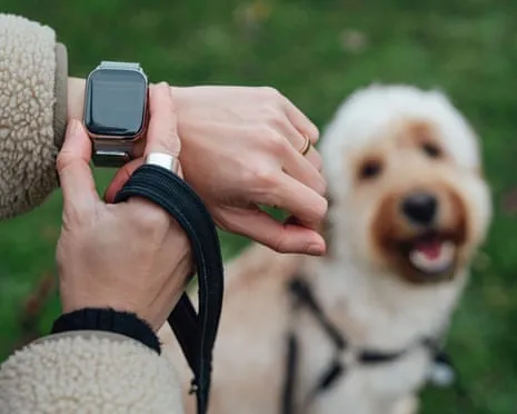 The Honest Scoop Concerning Smartwatches? Living Is Better Without a Bossy Zealot on Your Wrist